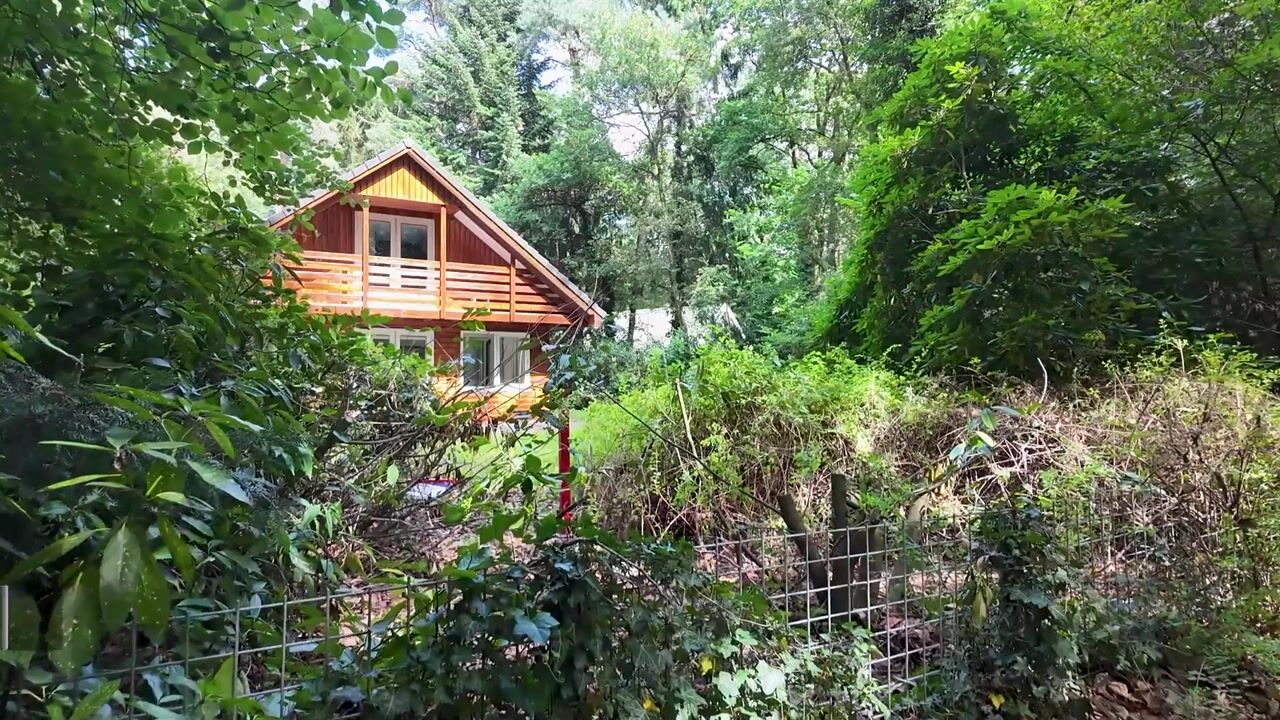 Video of Beukenlaan 2