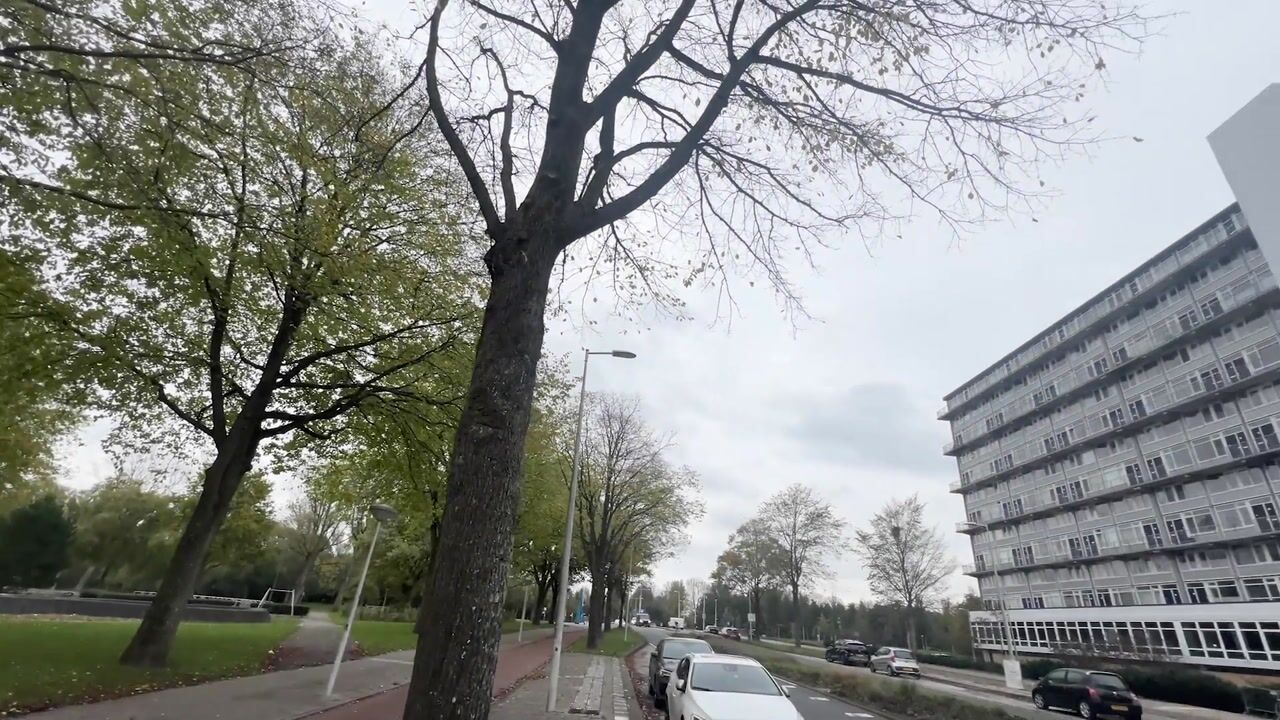 Video of Baden Powellweg 263-A6