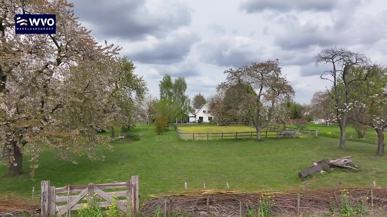 Video van Ganzert 30