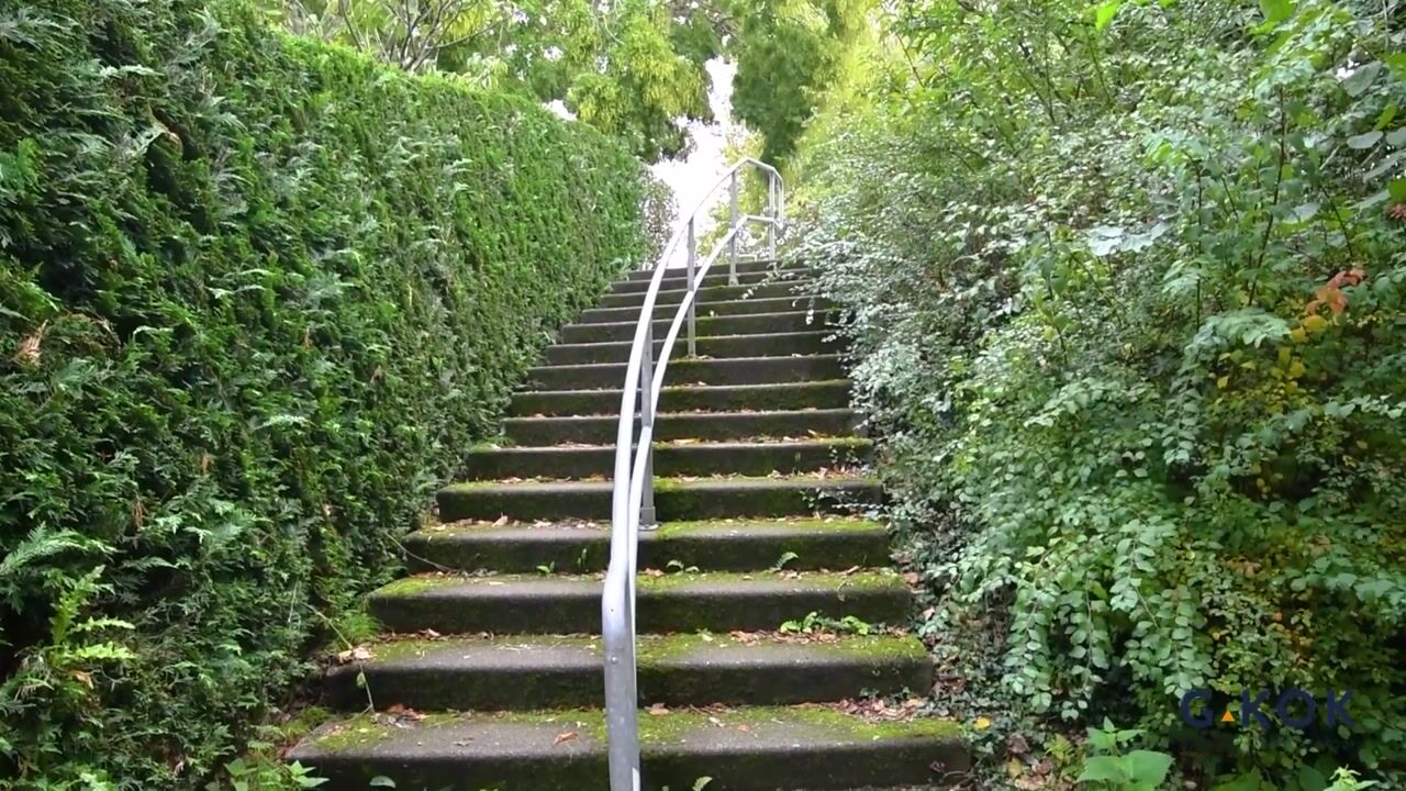 Video of Chabotlaan 165