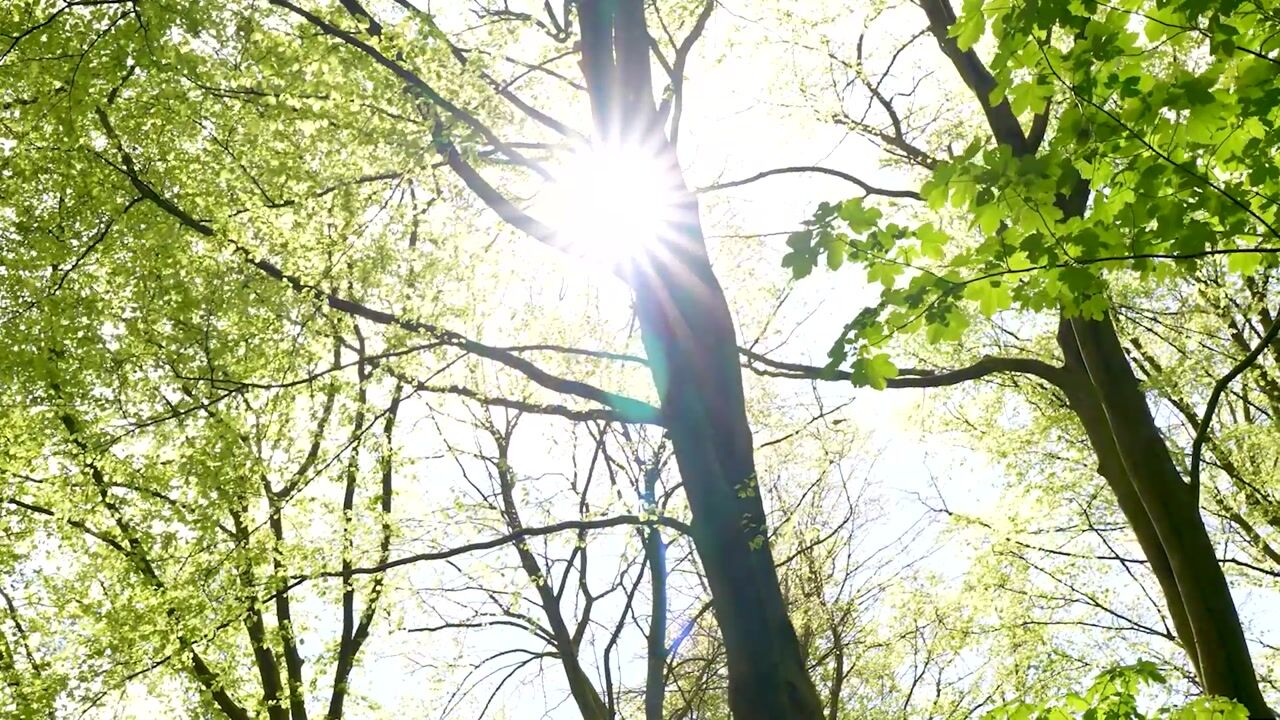 Video van Oude Karselaan 24