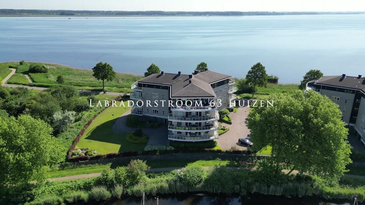 Video van Labradorstroom 63