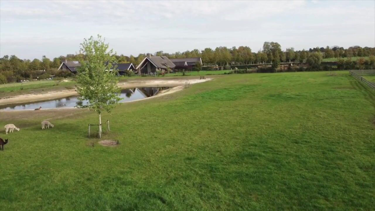 Video van Molenstraat 6