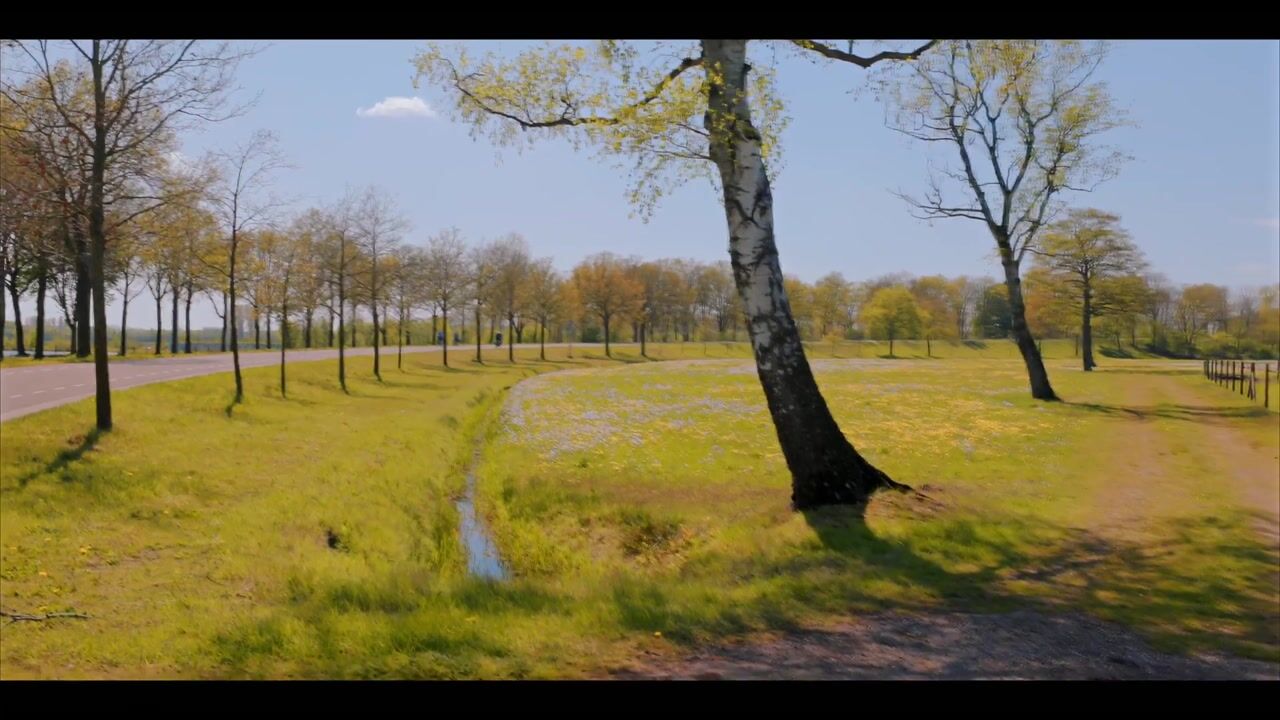 Video van Zuukerend 5