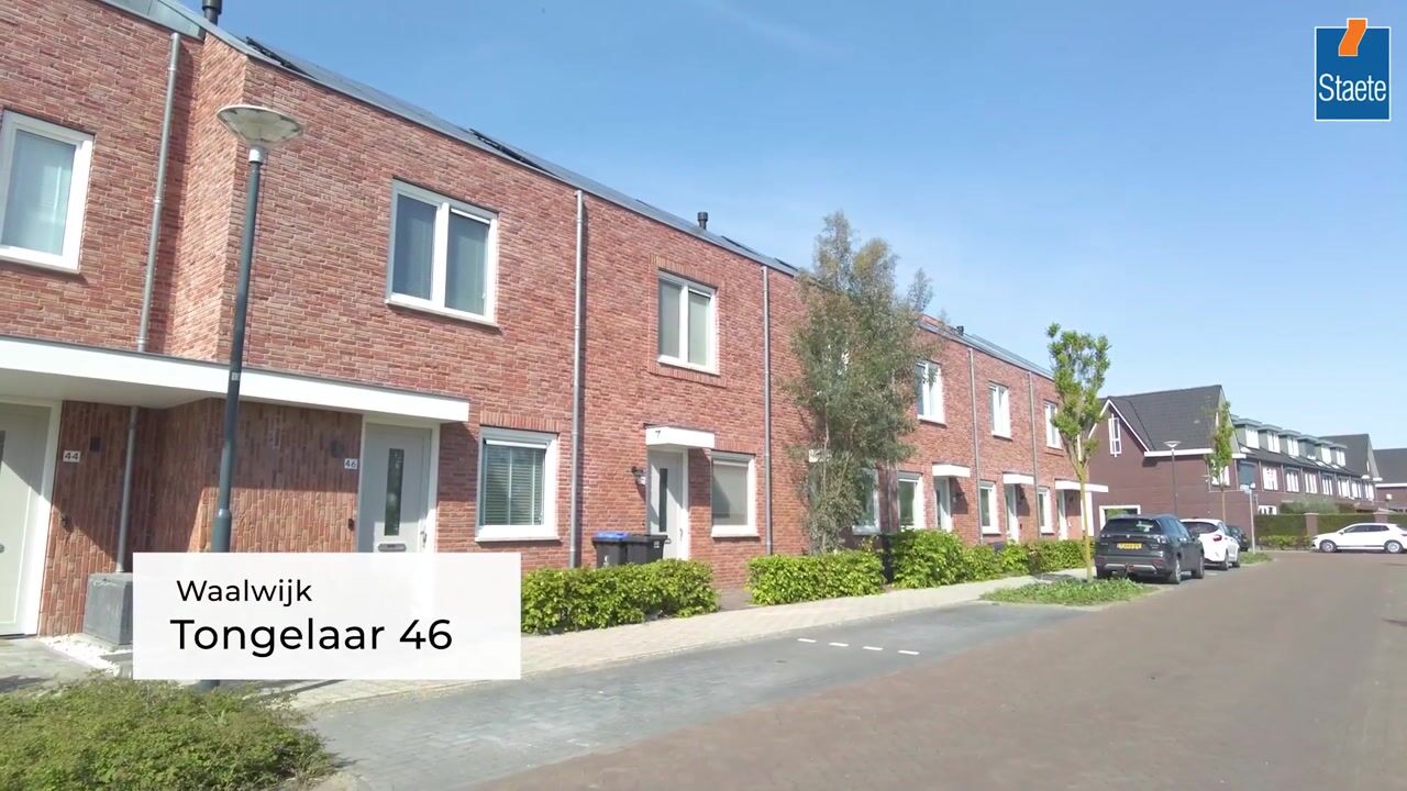 Video van Tongelaar 46