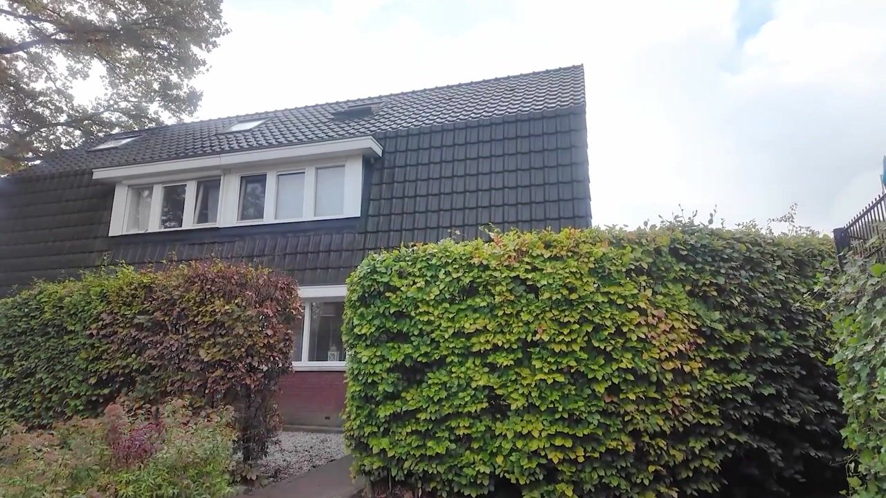 Video van Paardenwei 3