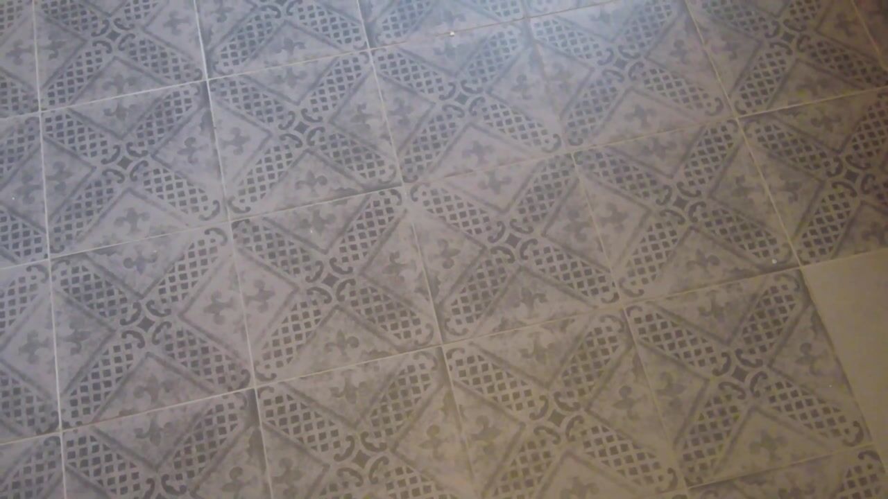 Video of de Plevier 36