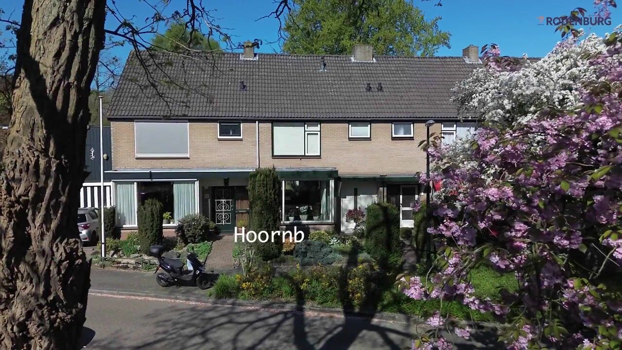 Video van Hoornbloem 33