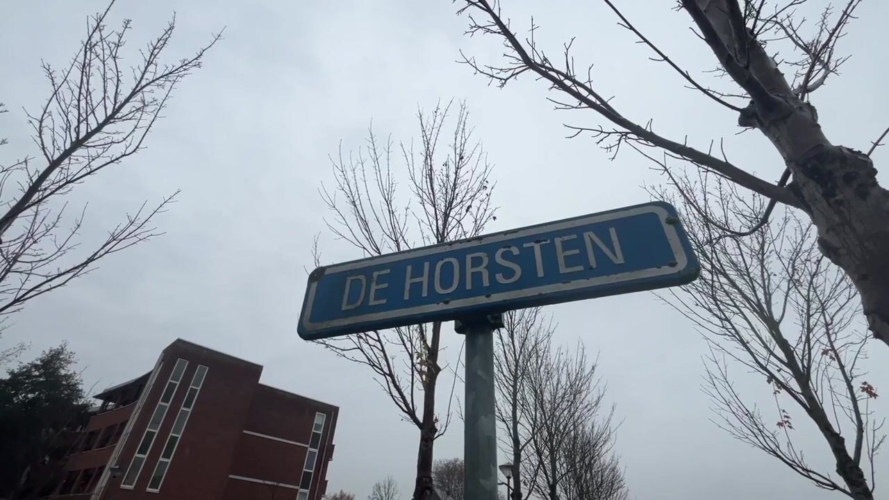 Video of De Horsten 52