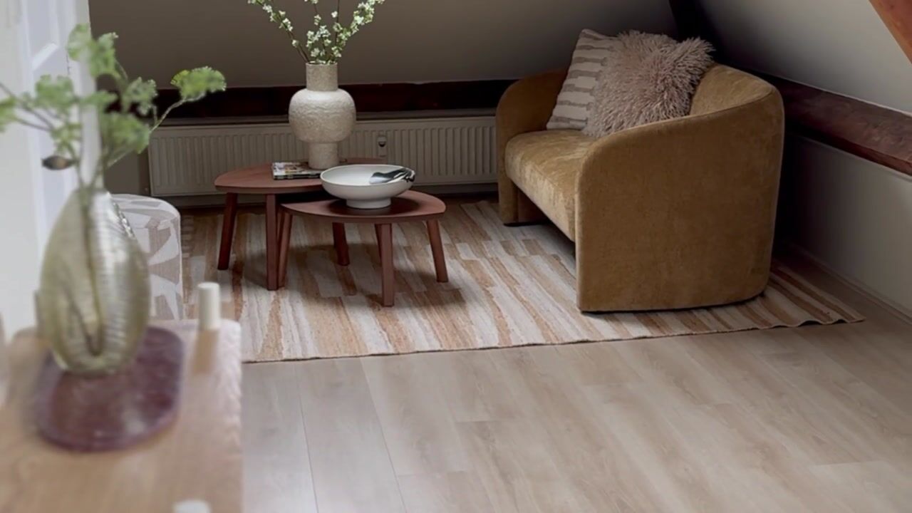Video van Goudriaanstraat 2-B