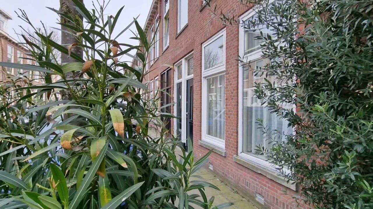 Video van Frederik Ruyschstraat 40