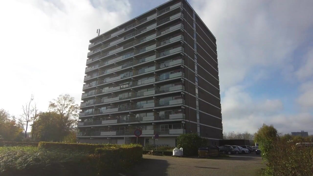 Video of Aalscholversingel 462