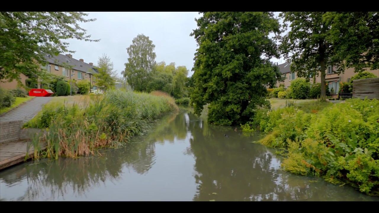 Video van Weegbree 5
