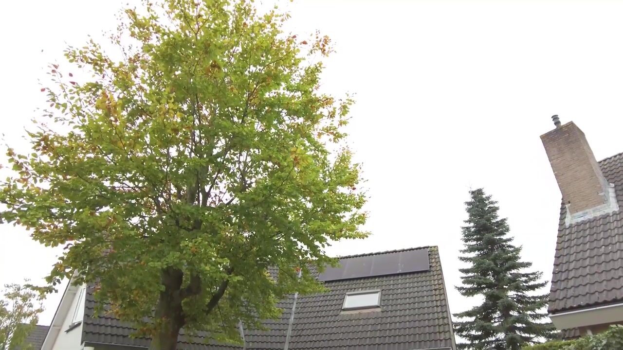 Video of Muntgaarde 6