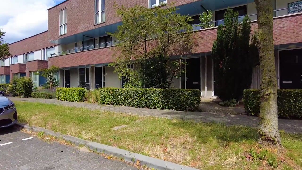 Video van Dintel 3