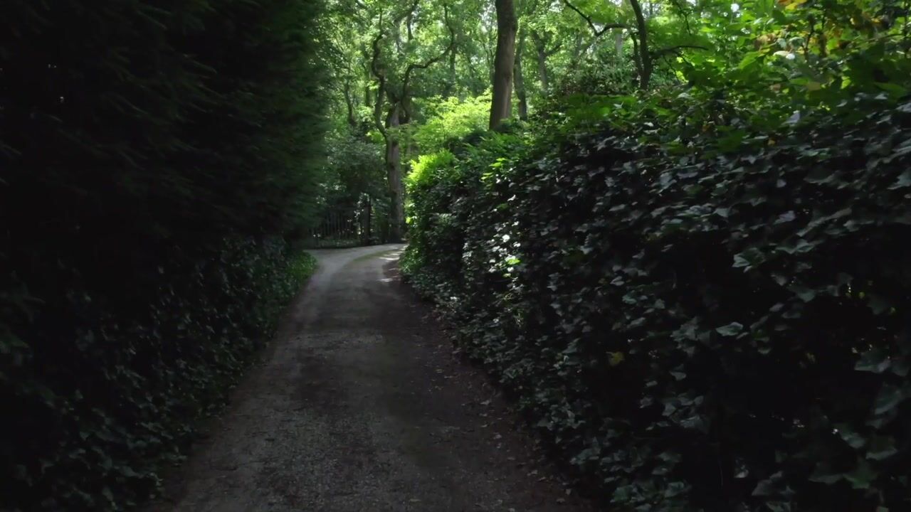 Video van Sophialaan 1-A