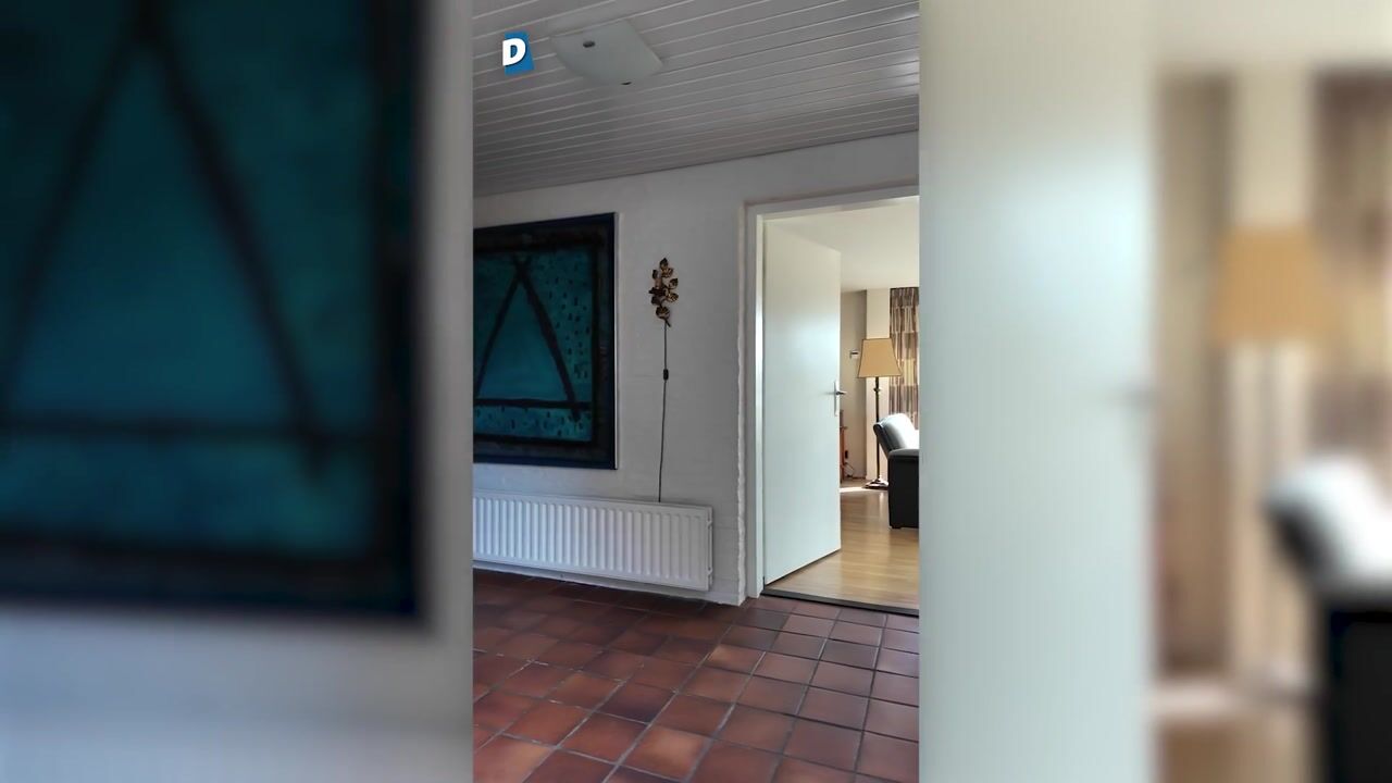 Video van Reidingweg 17