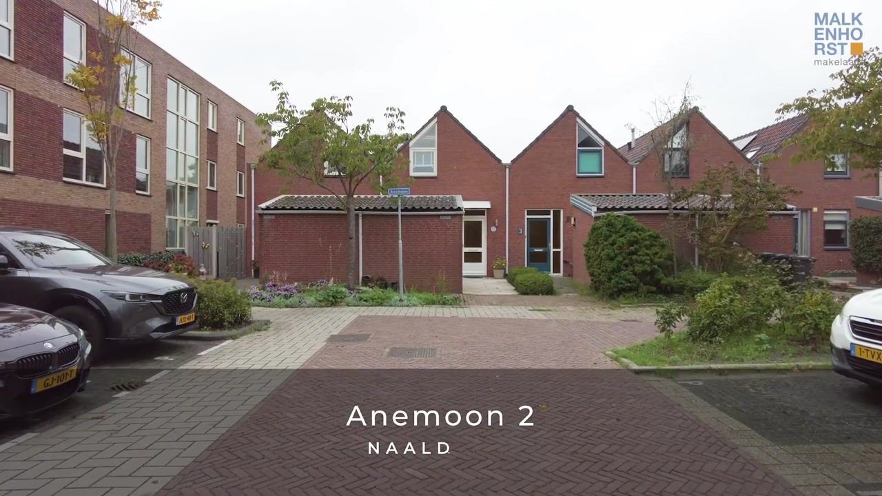 Video van Anemoon 2