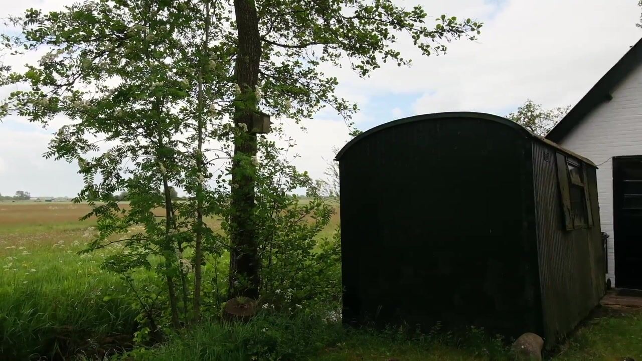 Video van Herenweg 17