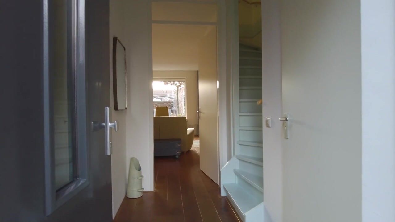 Video van Van Ostadestraat 64