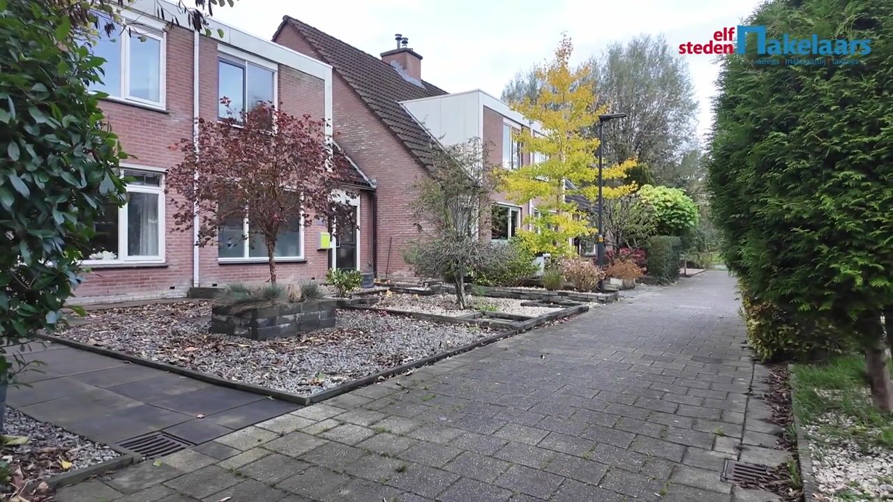 Video of De Twee Gebroeders 321