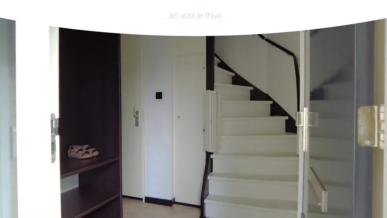 Video van Grote Poelslak 1