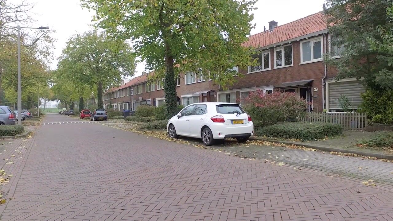 Bekijk video van Hazelaarstraat 43