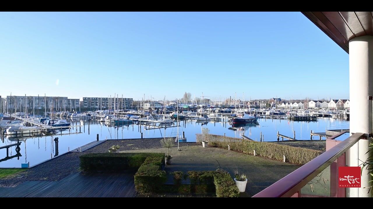 Video van Labradorstroom 91