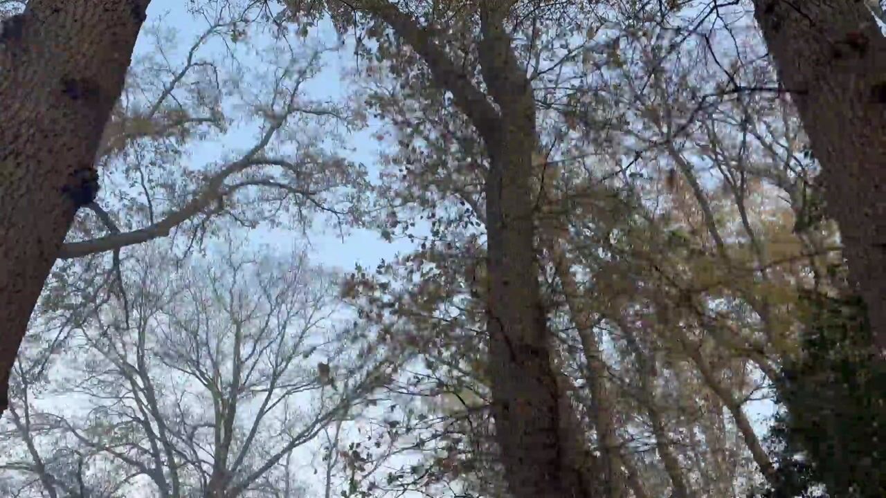 Video van Moskampweg 18