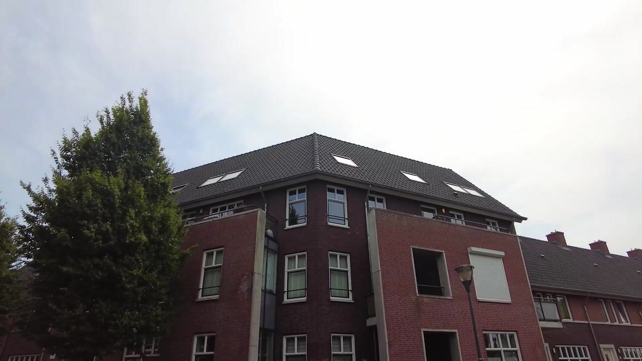 Video of Elshouter 47