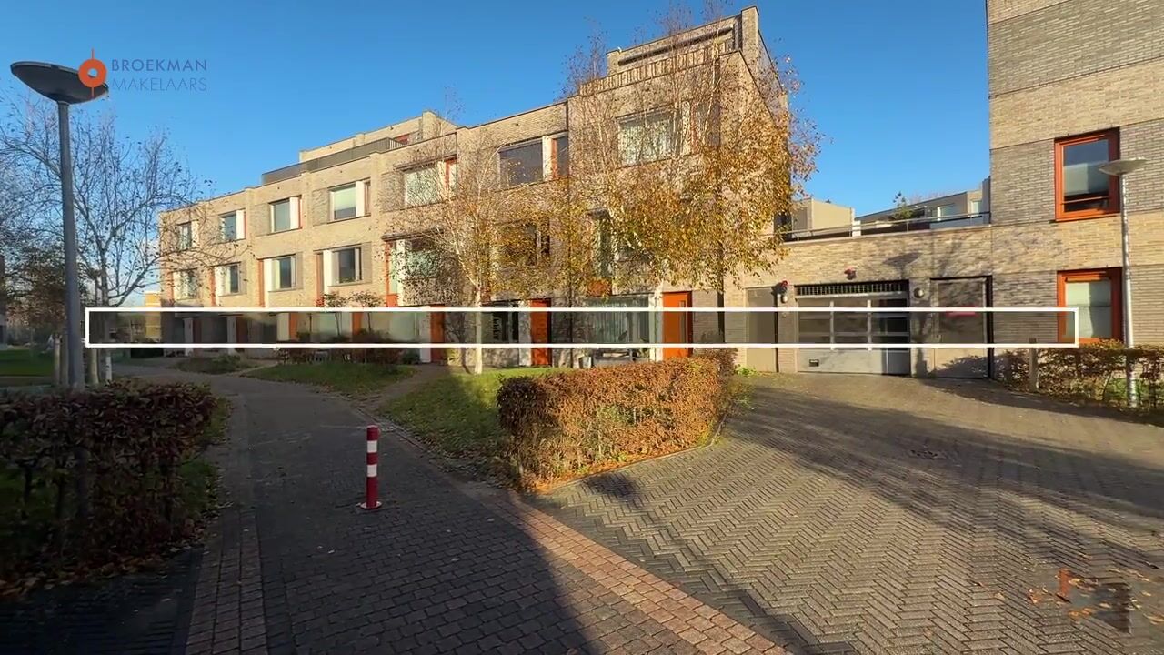 Video of Bosschaertpad 6