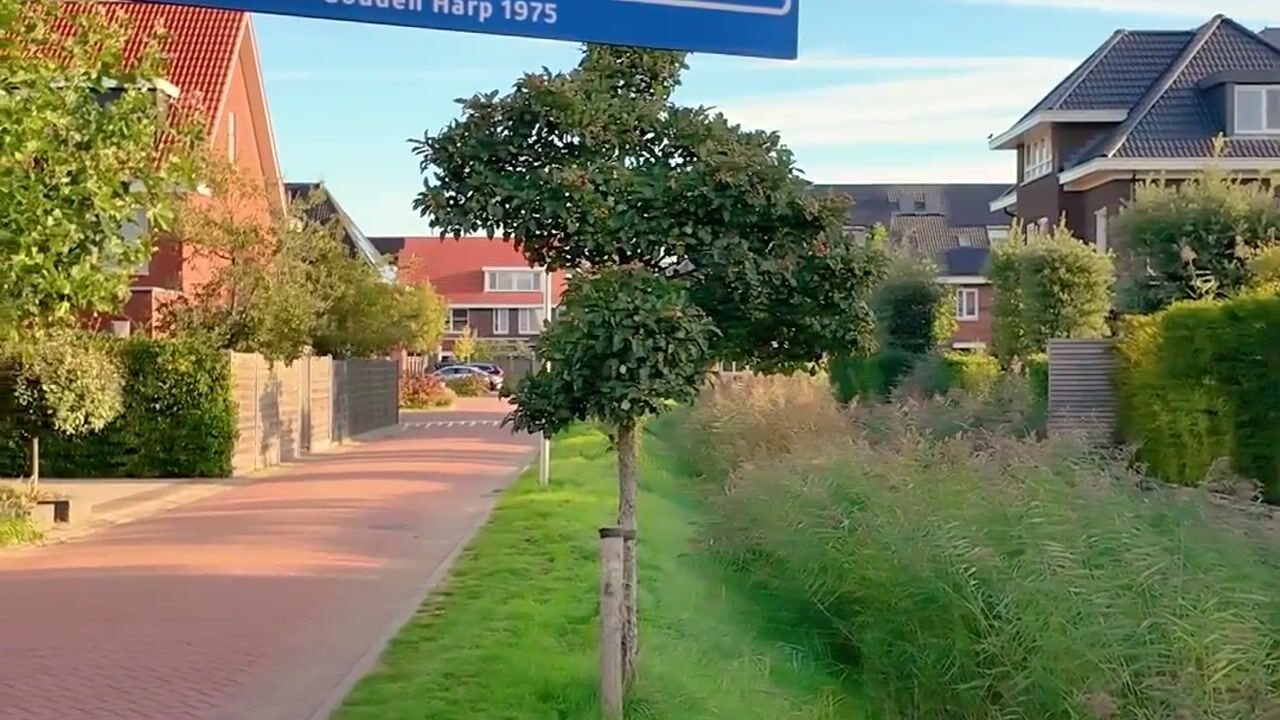 Video van Rogier van Otterloostraat 1