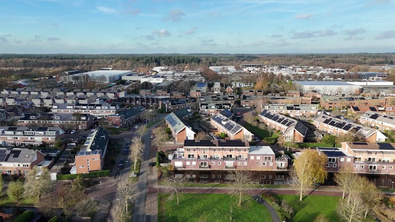 Video van Dorsvlegel 101