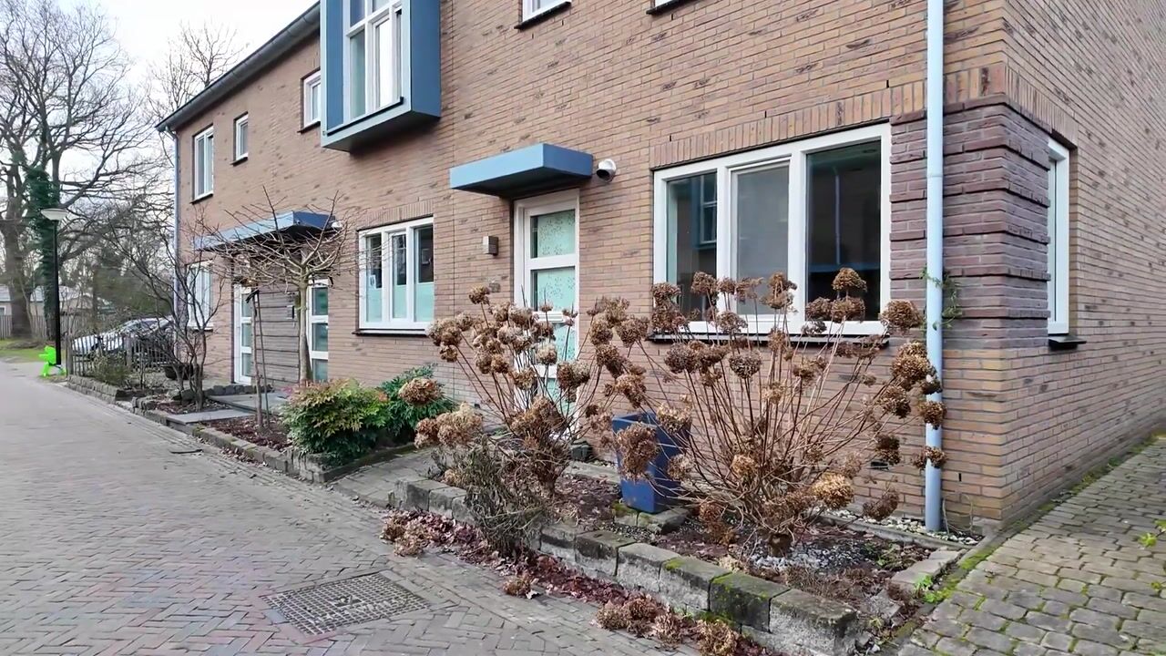 Video van Raadhuislaan 59