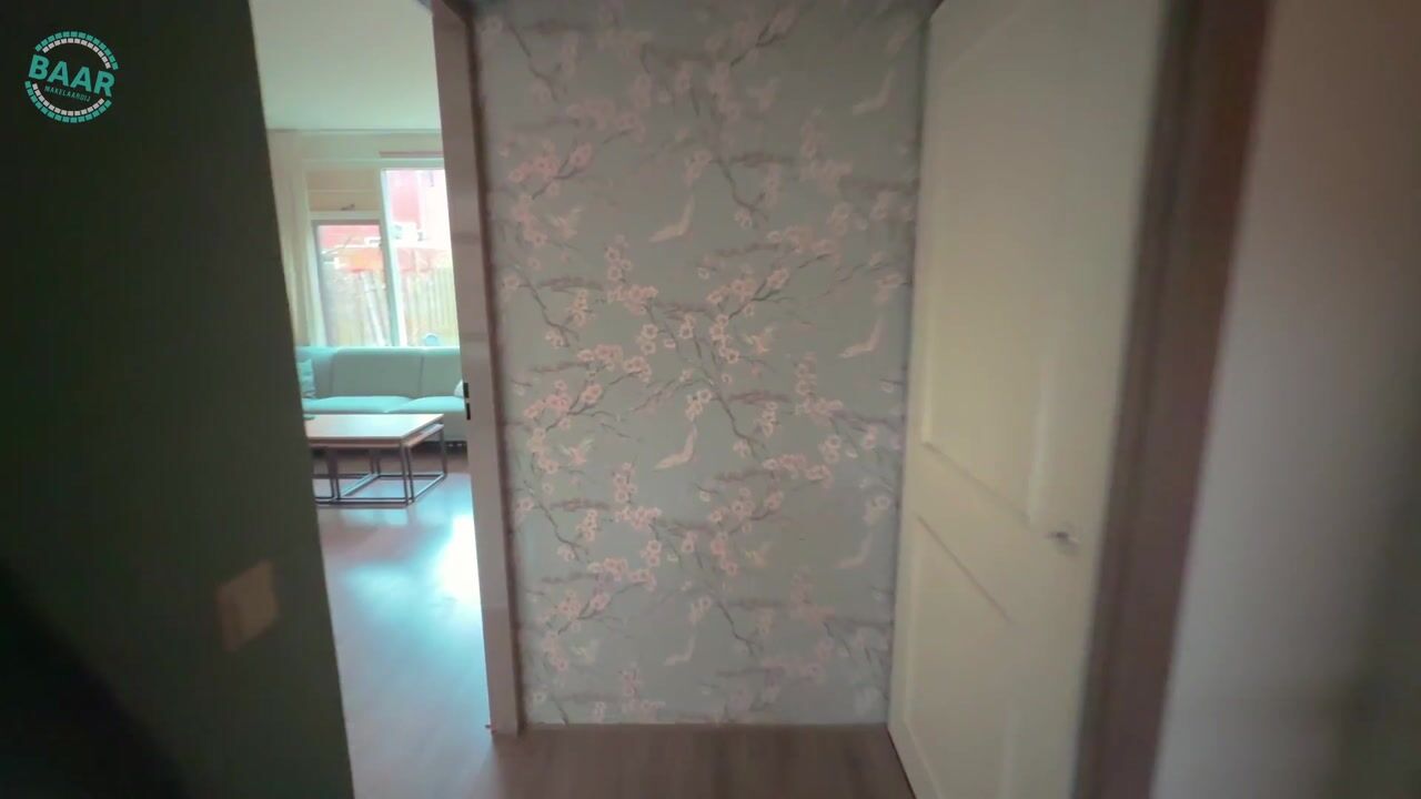 Video of Oldewierde 158