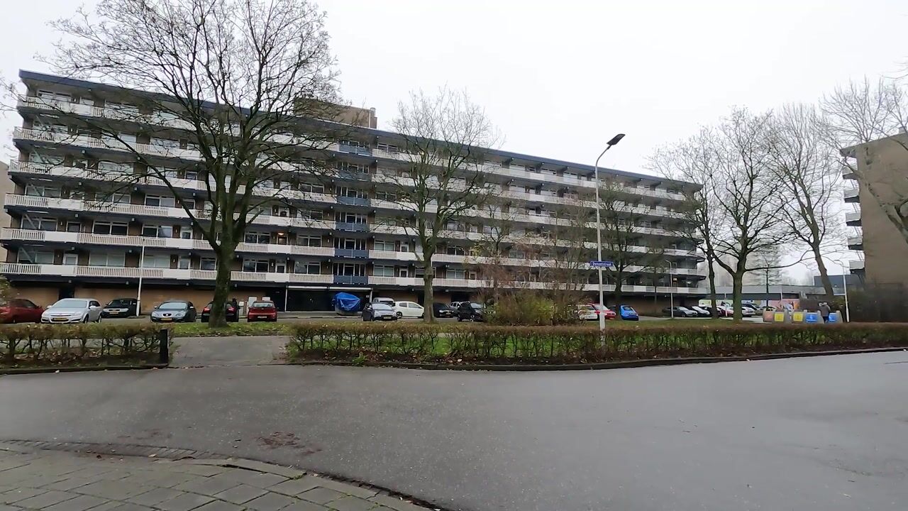 Video van Dunantstraat 664