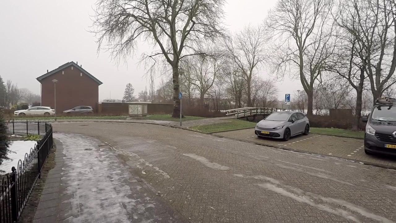 Video van Dahliastraat 110