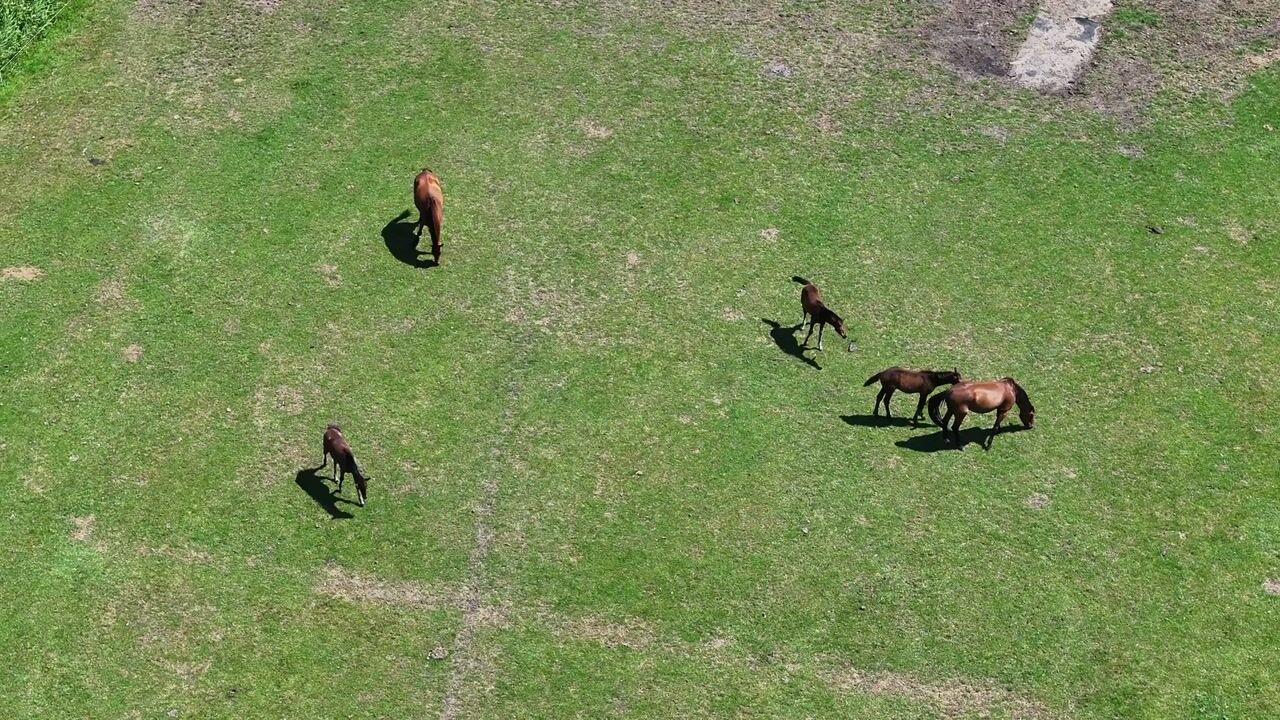 Video van Stichtse Kade 39