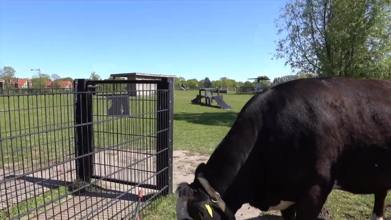 Video van Vogelenzanglaan 43