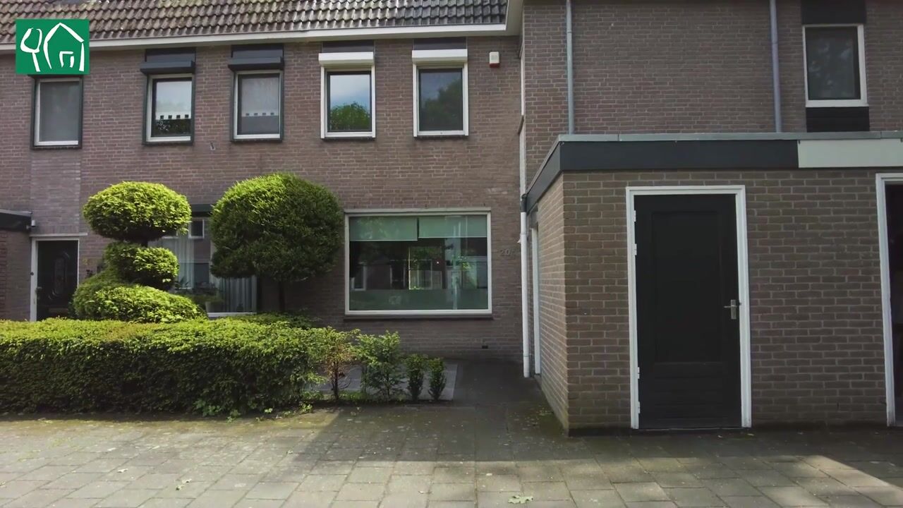 Video van Johan Frisopark 20