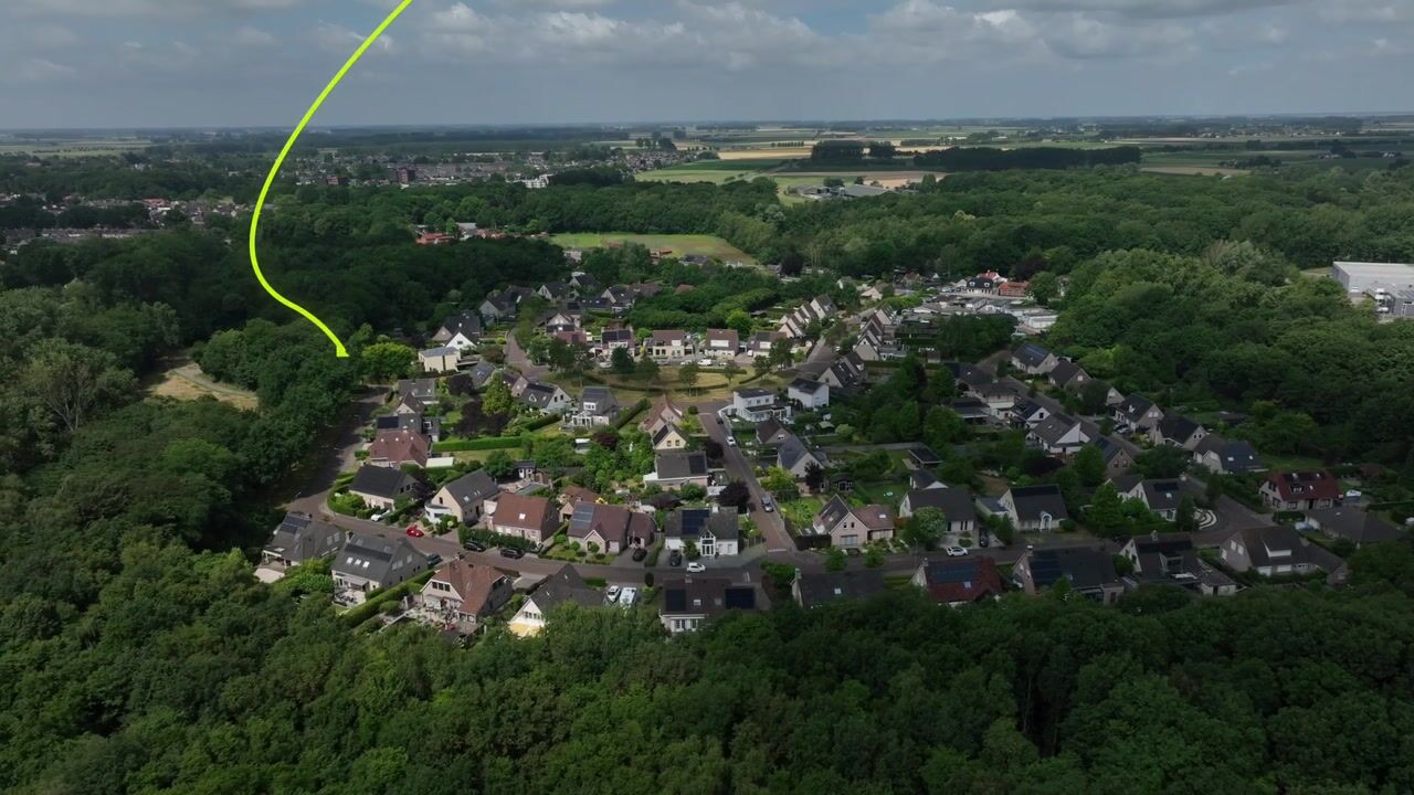 Video of Koekoeksbloem 4