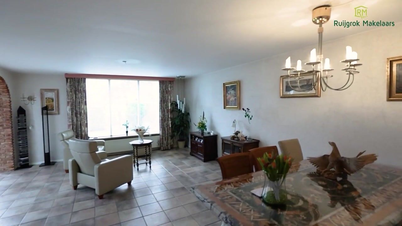 Video van Houtduif 36