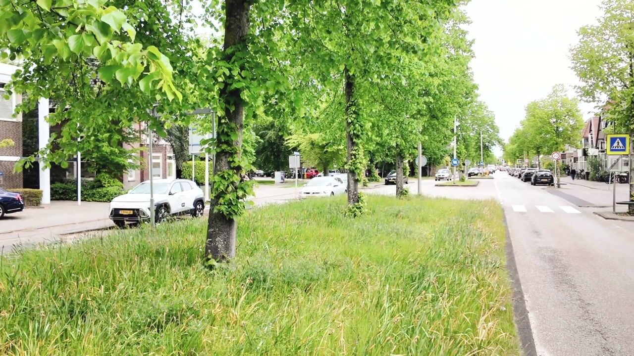Video van Zandvoortselaan 113