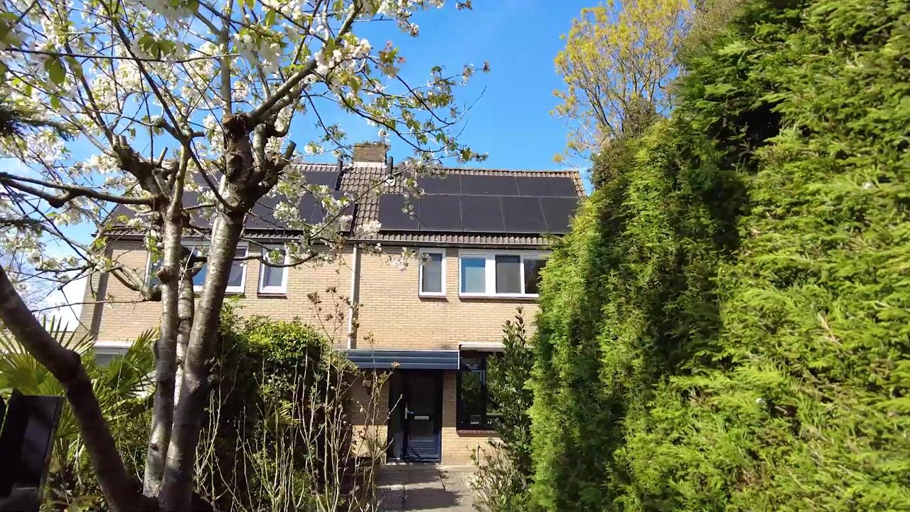 Video of Vierhoven 31