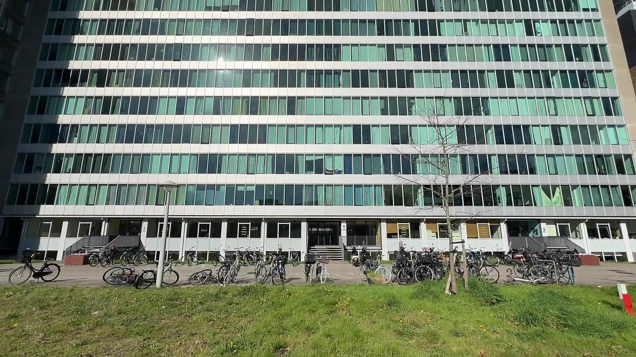 Video van Bos en Lommerplantsoen 43-F