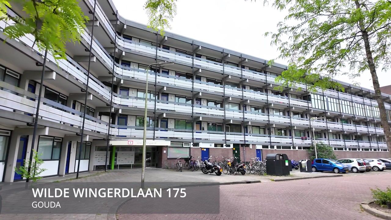 Video van Wilde Wingerdlaan 175