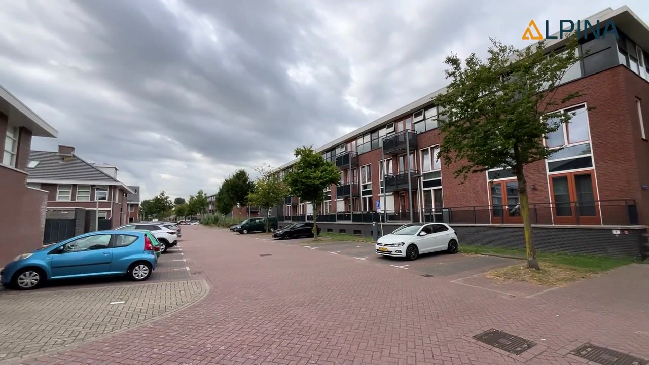 Video of Woestijnvalk 14