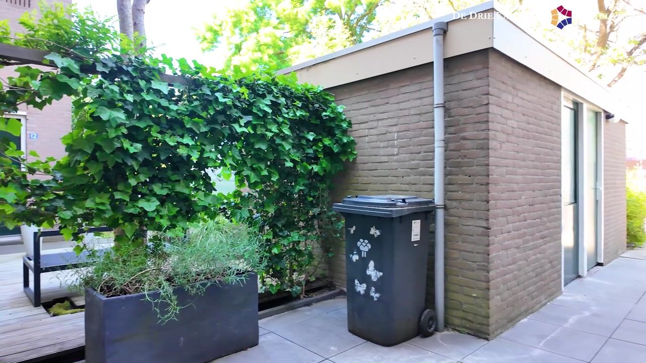 Video van Vestdijkhove 8