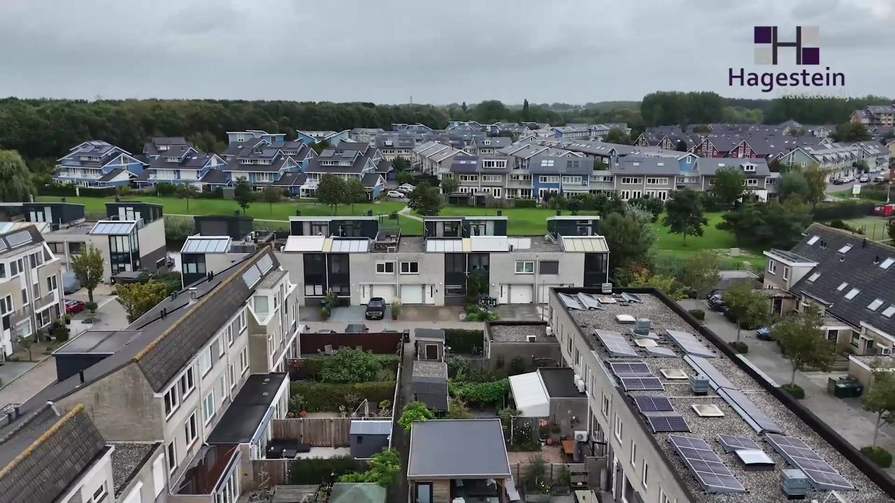 Video van Dilleveld 81