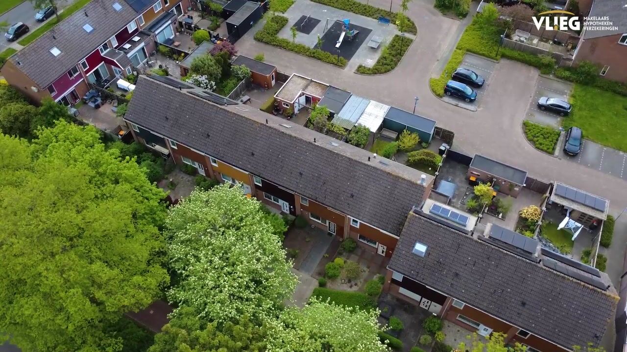 Video van Steenzout 76